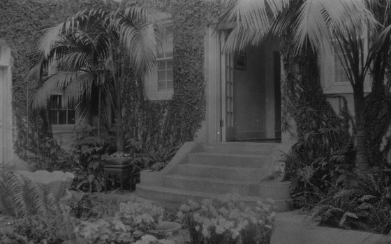 A black and white image of a small staircase surrounded by plants inside the Pierce du Pont house at Longwood Gardens.